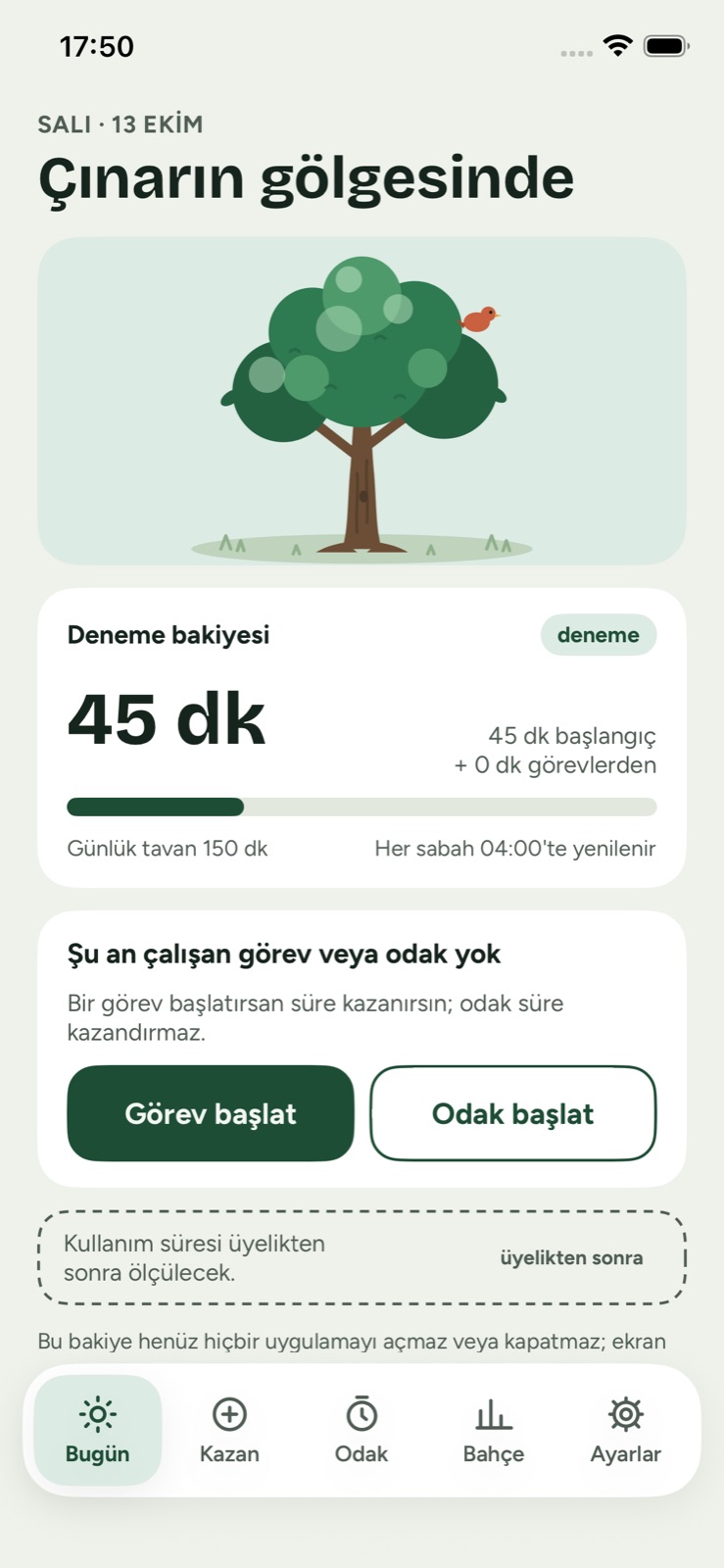 Çınar temasında Denge'nin Bugün ekranı: “Çınarın gölgesinde” başlığı, tema çizimi ve deneme bakiyesi